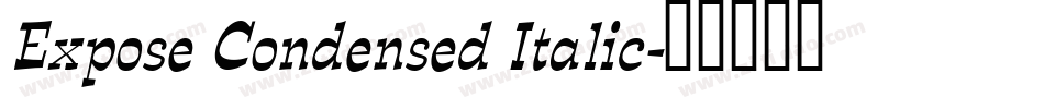 Expose Condensed Italic字体转换